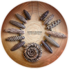 81130_0.png 81130_0.png