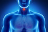 thyroid-s.jpg