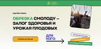2025-05-12_12-44-53.png 2025-05-12_12-44-53.png